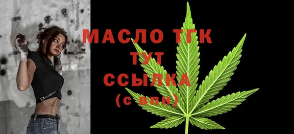 Альфа ПВП Бородино