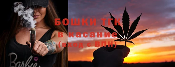 Альфа ПВП Бородино