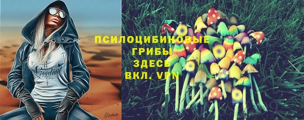эйфоретик Бронницы