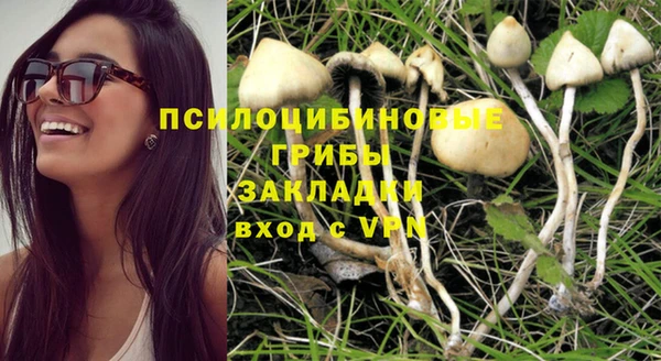 метадон Богданович