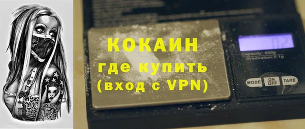 метадон Богданович