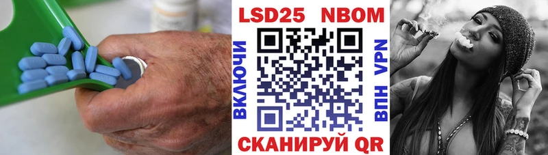 блэк спрут зеркало  Долгопрудный  Лсд 25 экстази кислота 